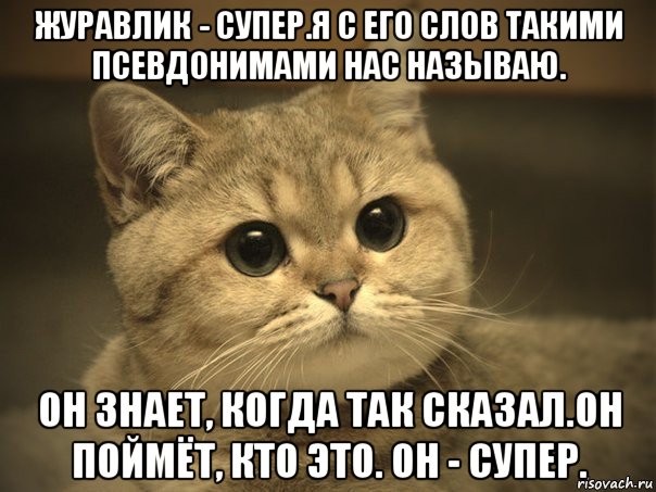 журавлик - супер.я с его слов такими псевдонимами нас называю. он знает, когда так сказал.он поймёт, кто это. он - супер., Мем Пидрила ебаная котик