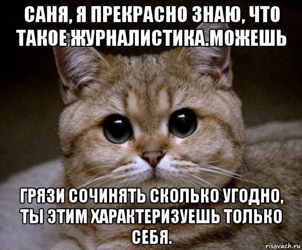 саня, я прекрасно знаю, что такое журналистика.можешь грязи сочинять сколько угодно, ты этим характеризуешь только себя., Мем Пидрила Ебаная