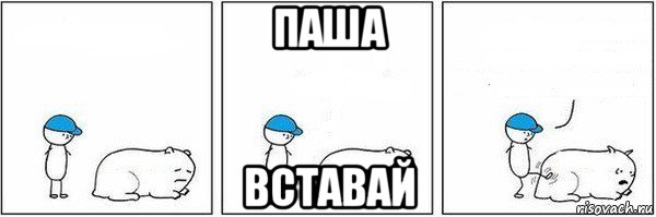 паша вставай