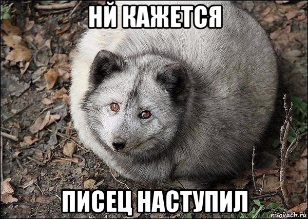 нй кажется писец наступил