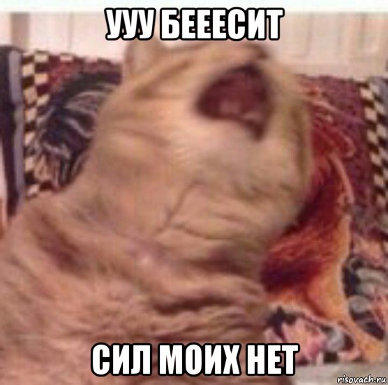 ууу бееесит сил моих нет