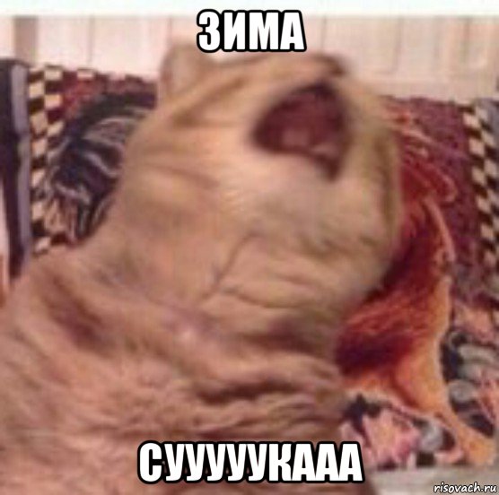 зима сууууукааа