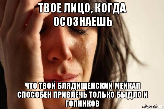 твое лицо, когда осознаешь что твой блядищенский мейкап способен привлечь только быдло и гопников, Мем Девушка плачет