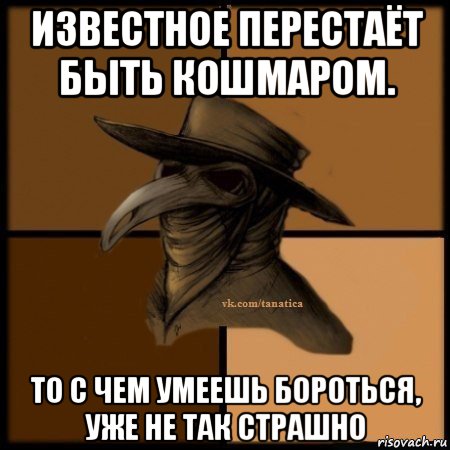 известное перестаёт быть кошмаром. то с чем умеешь бороться, уже не так страшно, Мем Plague doctor