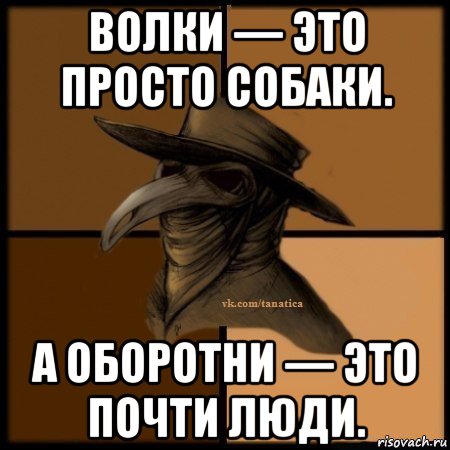 волки — это просто собаки. а оборотни — это почти люди., Мем Plague doctor