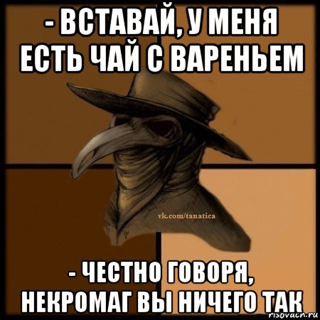 - вставай, у меня есть чай с вареньем - честно говоря, некромаг вы ничего так, Мем Plague doctor