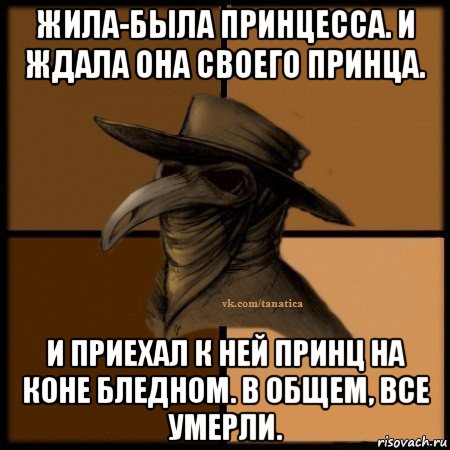 жила-была принцесса. и ждала она своего принца. и приехал к ней принц на коне бледном. в общем, все умерли., Мем Plague doctor