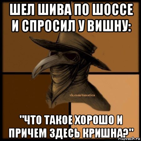 шел шива по шоссе и спросил у вишну: "что такое хорошо и причем здесь кришна?", Мем Plague doctor