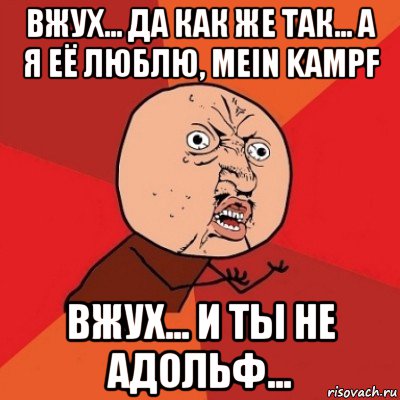 вжух... да как же так... а я её люблю, mein kampf вжух... и ты не адольф..., Мем Почему