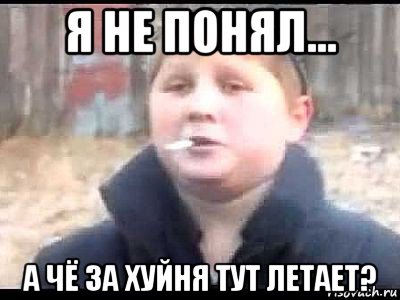 я не понял... а чё за хуйня тут летает?, Мем поцык