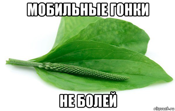 мобильные гонки не болей