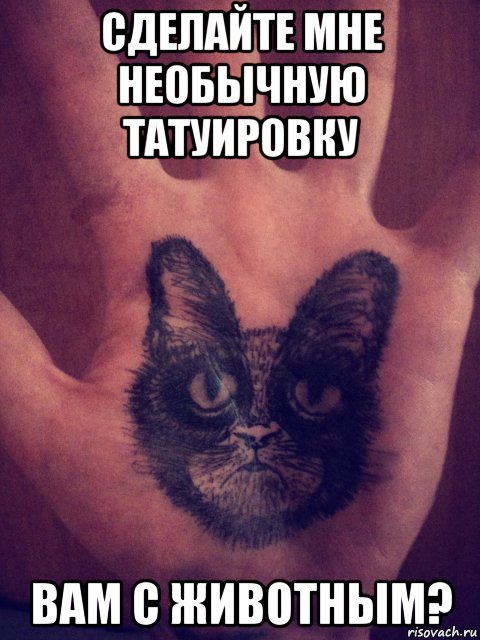 сделайте мне необычную татуировку вам с животным?, Мем поговори с котом