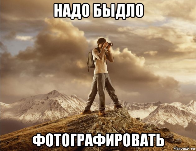 надо быдло фотографировать, Мем прирожденный фотограф