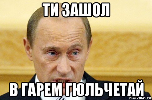 ти зашол в гарем гюльчетай, Мем путин