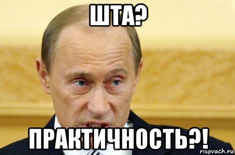 шта? практичность?!, Мем путин