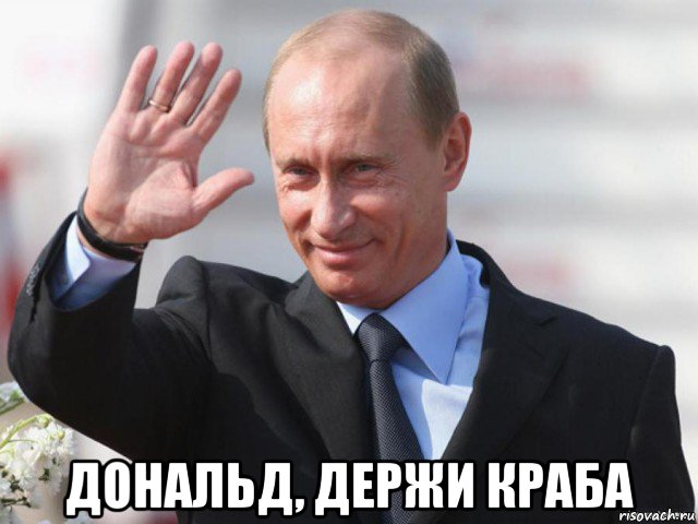  дональд, держи краба
