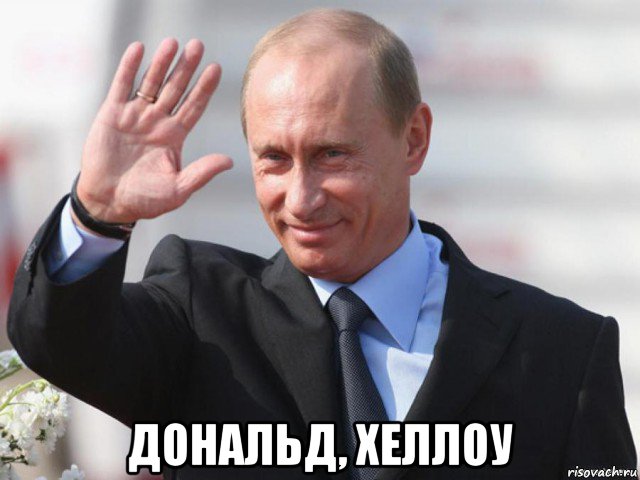  дональд, хеллоу