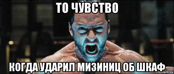 то чувство когда ударил мизиниц об шкаф, Мем работа