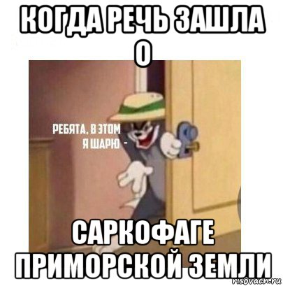 когда речь зашла о саркофаге приморской земли, Мем Ребята я в этом шарю