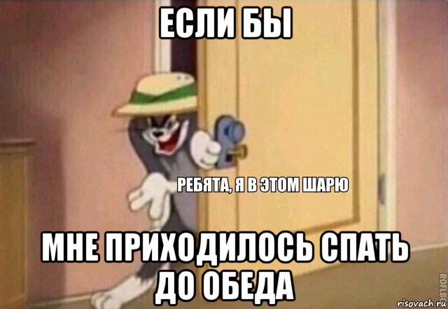 если бы мне приходилось спать до обеда, Мем    Ребята я в этом шарю