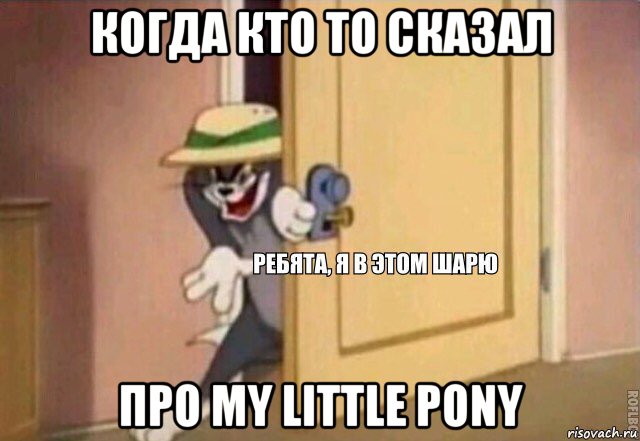 когда кто то сказал про my little pony, Мем    Ребята я в этом шарю