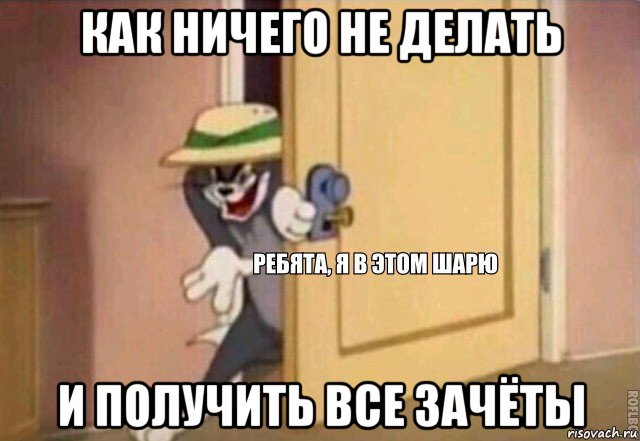 как ничего не делать и получить все зачёты, Мем    Ребята я в этом шарю