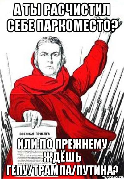 а ты расчистил себе паркоместо? или по прежнему ждёшь гепу/трампа/путина?, Мем Родина Мать