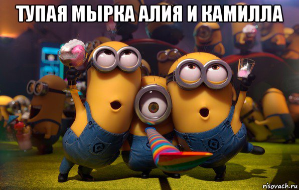 тупая мырка алия и камилла 
