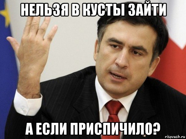 нельзя в кусты зайти а если приспичило?, Мем Саакашвили