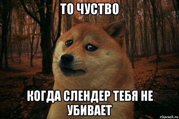 то чуство когда слендер тебя не убивает, Мем SAD DOGE