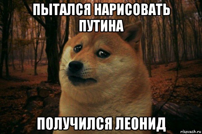 пытался нарисовать путина получился леонид, Мем SAD DOGE