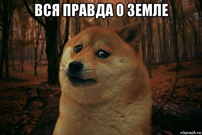 вся правда о земле , Мем SAD DOGE