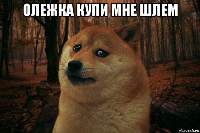 олежка купи мне шлем , Мем SAD DOGE