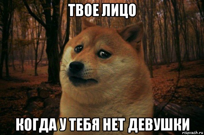 твое лицо когда у тебя нет девушки, Мем SAD DOGE