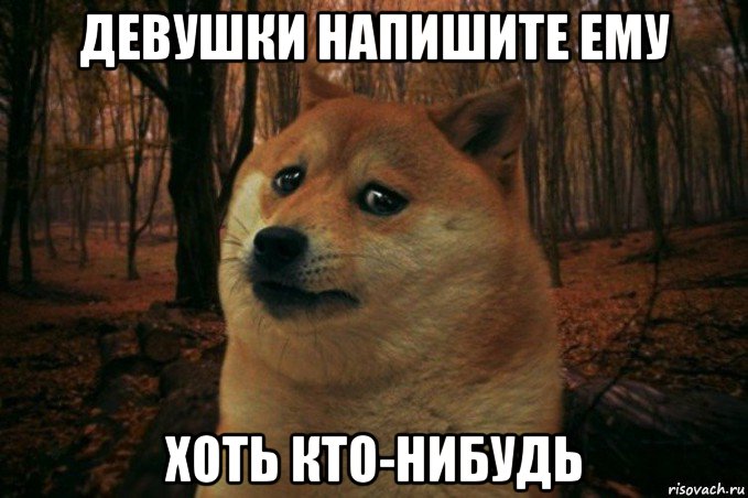 девушки напишите ему хоть кто-нибудь, Мем SAD DOGE