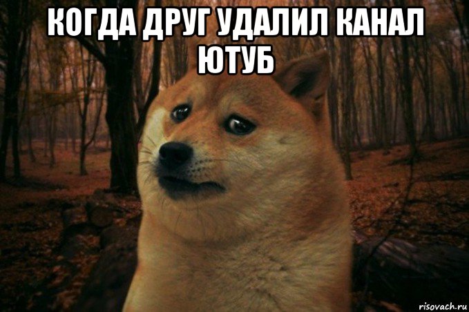 когда друг удалил канал ютуб , Мем SAD DOGE