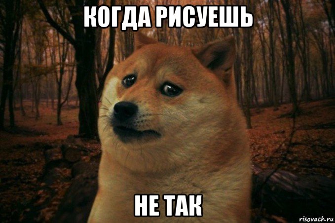 когда рисуешь не так, Мем SAD DOGE