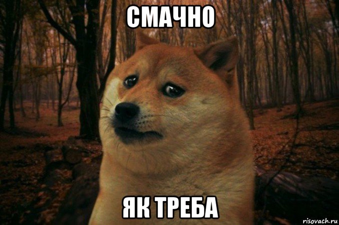 смачно як треба, Мем SAD DOGE