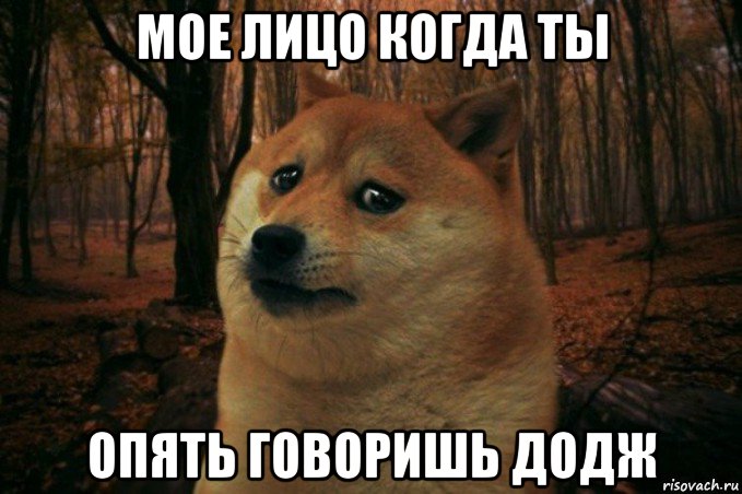 мое лицо когда ты опять говоришь додж, Мем SAD DOGE