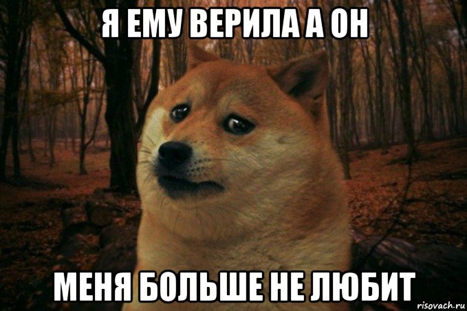 я ему верила а он меня больше не любит, Мем SAD DOGE