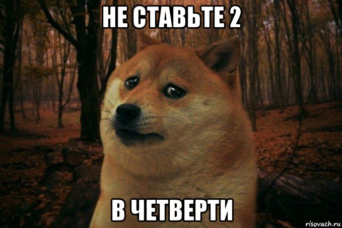 не ставьте 2 в четверти, Мем SAD DOGE