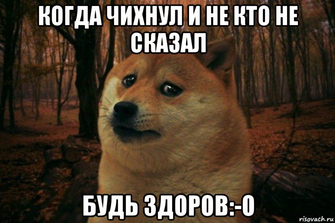 когда чихнул и не кто не сказал будь здоров:-o, Мем SAD DOGE