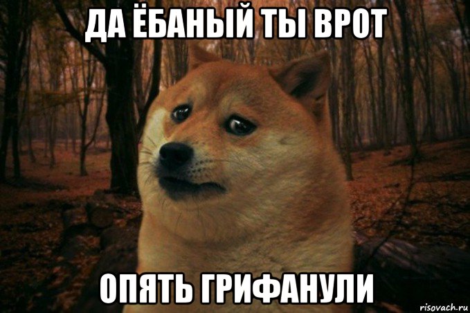 да ёбаный ты врот опять грифанули, Мем SAD DOGE