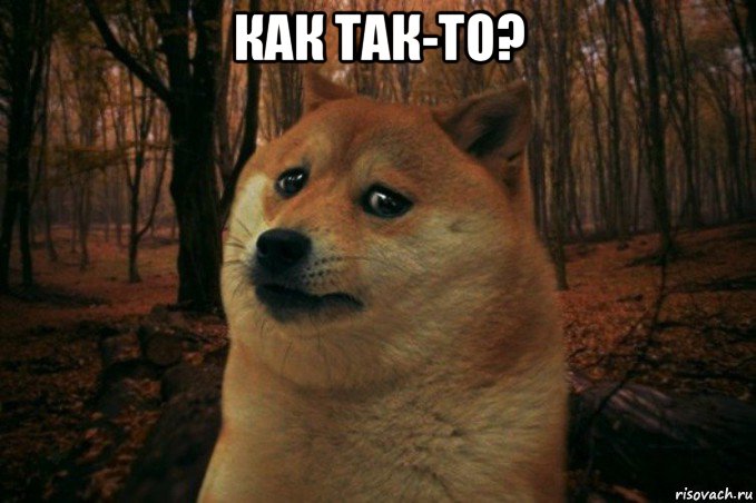 как так-то? , Мем SAD DOGE