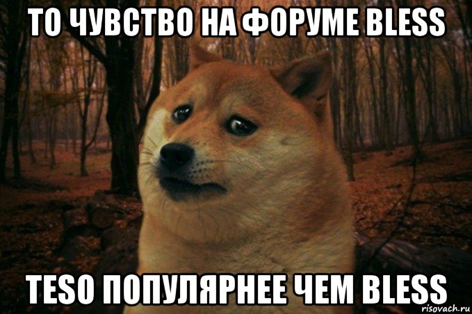 то чувство на форуме bless teso популярнее чем bless, Мем SAD DOGE