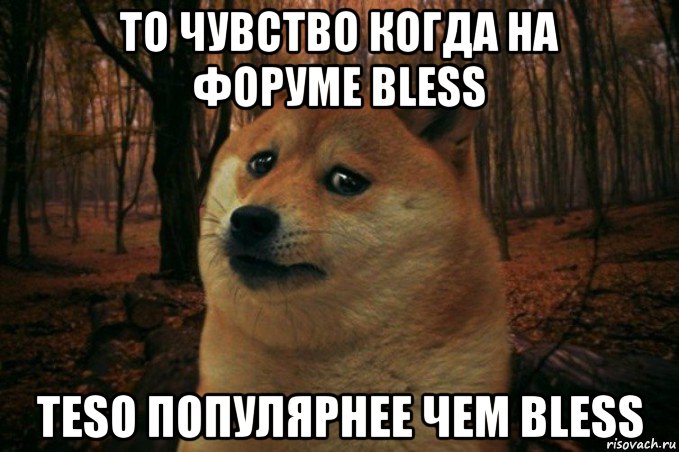 то чувство когда на форуме bless teso популярнее чем bless, Мем SAD DOGE