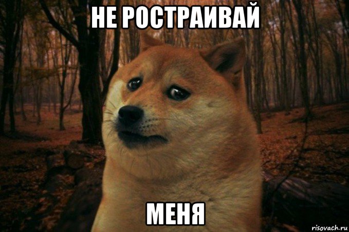 не ростраивай меня, Мем SAD DOGE