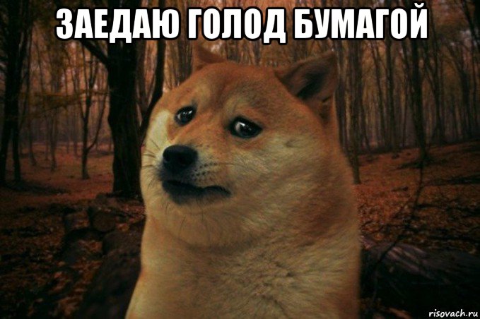 заедаю голод бумагой , Мем SAD DOGE