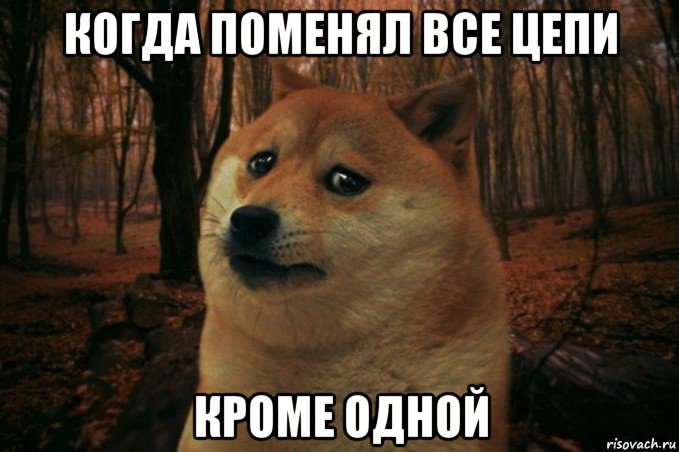 когда поменял все цепи кроме одной, Мем SAD DOGE