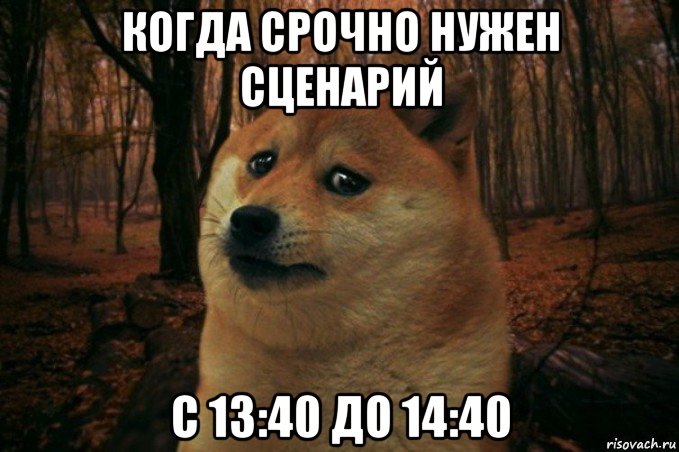 когда срочно нужен сценарий с 13:40 до 14:40, Мем SAD DOGE